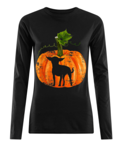 Nice Chihuahua in Pumpkin Funny Halloween Dog Lovers Gift Women's Long Sleeved