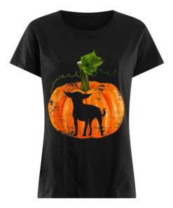 Nice Chihuahua in Pumpkin Funny Halloween Dog Lovers Gift Women's Shirt