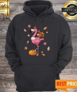Flamingo And Chicken Autumn Pumpkin Classic Hoodie