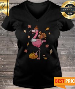 Flamingo And Chicken Autumn Pumpkin Classic V-neck