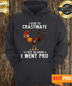 I Used To Crastinate I Got So Good I Went Pro Rooster Hoodie