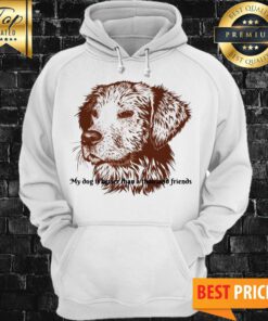 Official My Dog ​​Is Better Than A Thousand Friends Hoodie