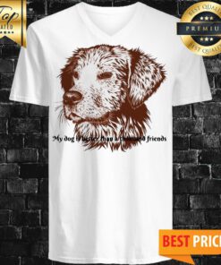 Official My Dog ​​Is Better Than A Thousand Friends V-neck