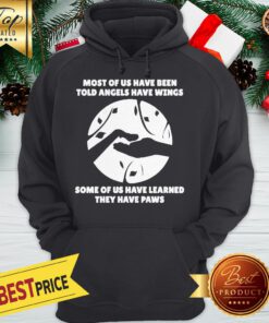 Most Of Us Have Been Told Angels Have Wings Some Of Us Have Learned They Have Paws Hoodie