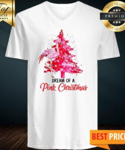 Official Flamingo Dream Of A Pink Christmas V-neck