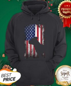 American Flag Pitbull Terrier USA Flag Hoodie