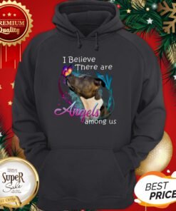 American Pit Bull Terrier I Believe There Are Angels Among Us Hoodie