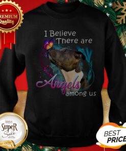 American Pit Bull Terrier I Believe There Are Angels Among Us Sweatshirt