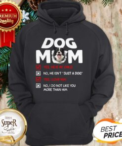 Border Collie Dog Mom Yes He Is My Child No He Isn't Just A Dog Hoodie