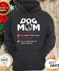 Boston Terrier Dog Mom Yes He Is My Child No He Isn't Just A Dog Hoodie