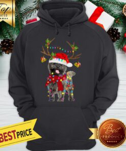 Cairn Terriers Gorgeous Reindeer Crewneck Hoodie