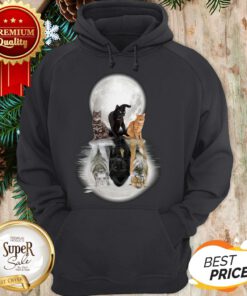 Cats And Moon Water Mirror Reflection Tiger Black Panther Hoodie