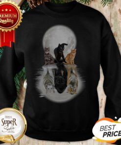 Cats And Moon Water Mirror Reflection Tiger Black Panther Sweatshirt