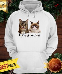Cats Friends Bub Grumpy Hodoie
