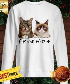 Cats Friends Bub Grumpy Sweatshirt