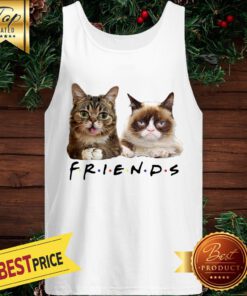 Cats Friends Bub Grumpy Tank Top