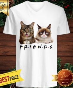 Cats Friends Bub Grumpy V-neck