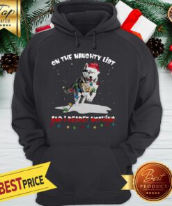 Christmas Wolf Santa On The Naughty List And I Regret Nothing Hoodie