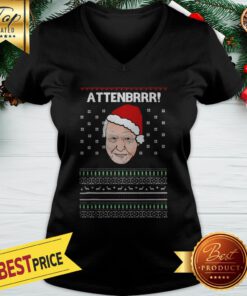 David Attenborough Attenbrrr Ugly Christmas V-neck