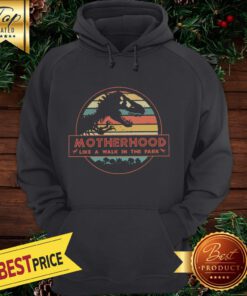 Dinosaurs motherhood like a walk in the park vintage Hoodie