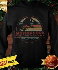 Dinosaurs motherhood like a walk in the park vintage Sweatshirt