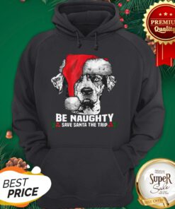 Dog Be Naughty Save Santa Catahoula Cur Xmas Hoodie