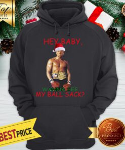 Donald Trump Hey Baby Wanna See My Ball Sack Christmas Hoodie