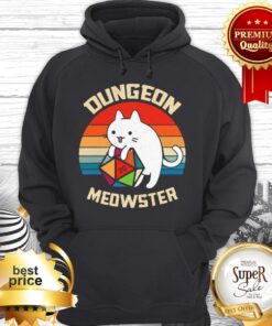 Dungeon Meowster Cat Lover D20 Rpg Vintage Hoodie