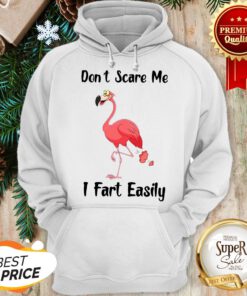 Flamingo Don't Scare Me I Fart Easily Hoodie