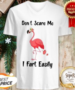 Flamingo Don't Scare Me I Fart Easily V-neck