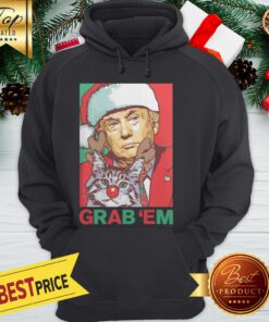 Hot Trump Cat Grab Em Holiday Hoodie