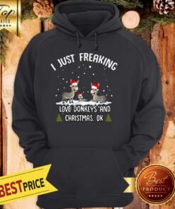 I Just Freaking Love Donkeys And Christmas Hoodie
