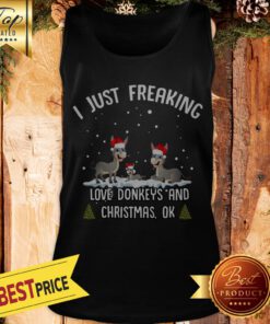 I Just Freaking Love Donkeys And Christmas Tank Top