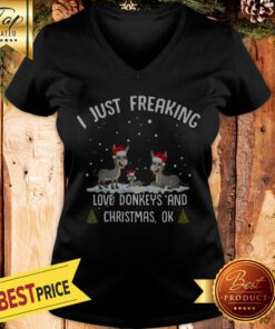 I Just Freaking Love Donkeys And Christmas V-neck