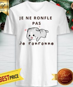 Mochi Cat Cute Je Ne Ronfle Pas Je Ronronne V-neck