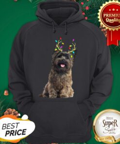 Official Cairn Terrier Reindeer Christmas Light Hoodie
