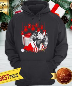 Official Toothless Gift Hat Santa Christmas Hoodie