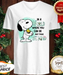 Snoopy Woodstock In A World Where You Can Be Anything BSnoopy Woodstock In A World Where You Can Be Anything Be Kind Shirte Kind V-neck