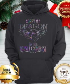Sorry My Dragon Ate Your Unicorn Colors Hoodie