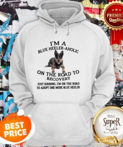 I'm A Blue Heeler A Holic On The Road To Recovery Hoodie