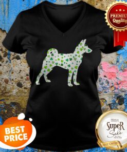 Nice Basenji St Patrick’s Day Dog V-neck