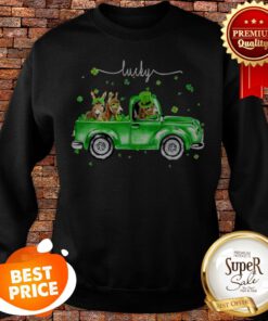Official Patrick’s Day Donkey On Car Lucky Sweatshirt