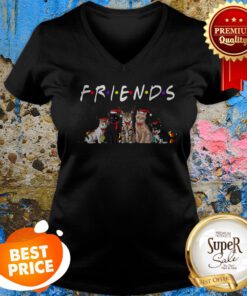 Official Christmas Best Friends Cat V-Neck
