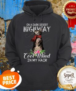 On A Dark Desert Highway Cool Wind In My Hair Cat Hoodie