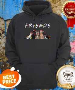 Official Christmas Best Friends Cat Hoodie