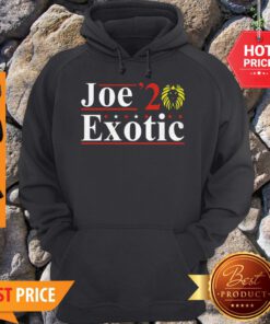 Awesome Vote Joe Exotic 2020 For President Hoodie