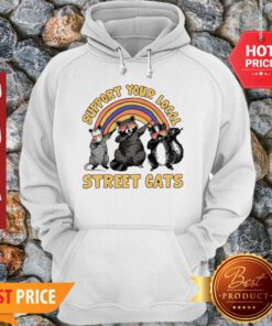 Nice Dabbing Raccoon Support Your Local Street Cats Hoodie