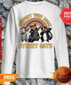 Nice Dabbing Raccoon Support Your Local Street Cats Sweatshirt