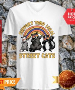 Nice Dabbing Raccoon Support Your Local Street Cats V-neck