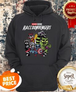 Raccoon Raccoonvengers Marvel Avengers Endgame Hoodie